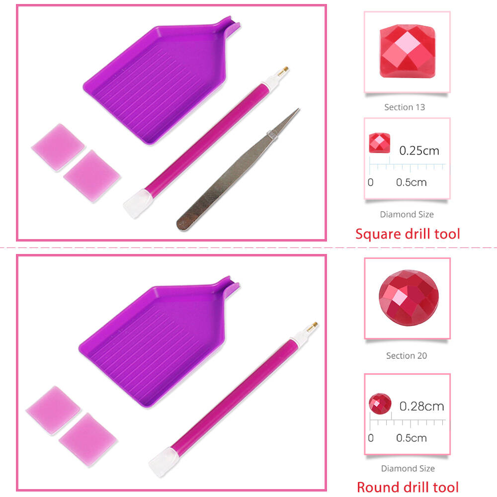 Momoart Diamond Painting Flami - Resin Craft For Beginners recension och pris